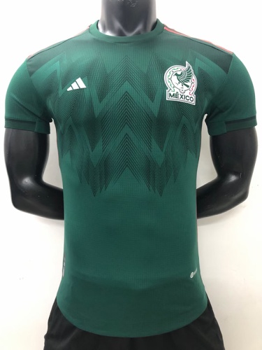 Mexico 2022 World Cup Home Jersey(Player)