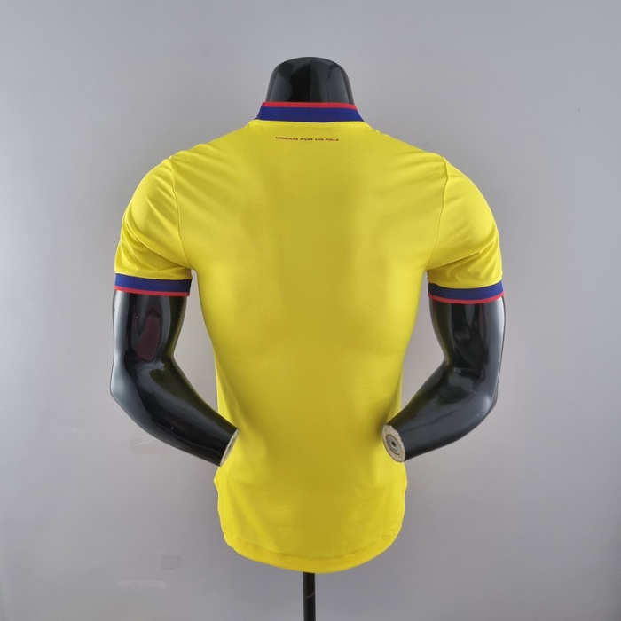 Colombia 2022 Special Yellow Soccer Jersey(Player)