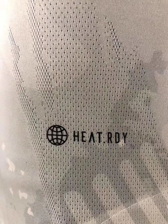 Germany 2022 Light Grey Training Jersey(Player)