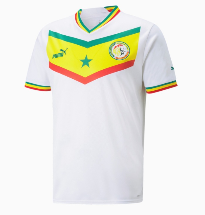 Senegal 2022 World Cup Home Soccer Jersey(Player)