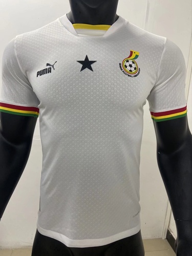 Ghana 2022 World Cup Home Soccer Jersey(Player)