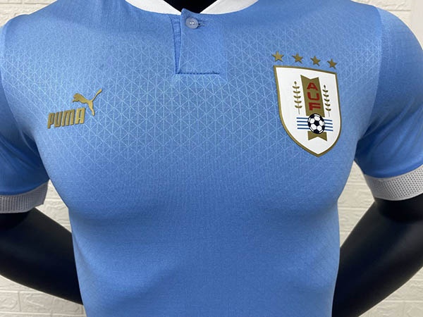 Uruguay 2022 World Cup Home Jersey(Player)