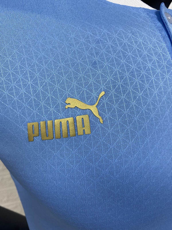 Uruguay 2022 World Cup Home Jersey(Player)