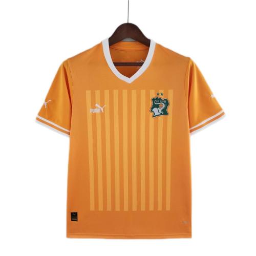 Cote d'Ivoire 2022 World Cup Home Jersey