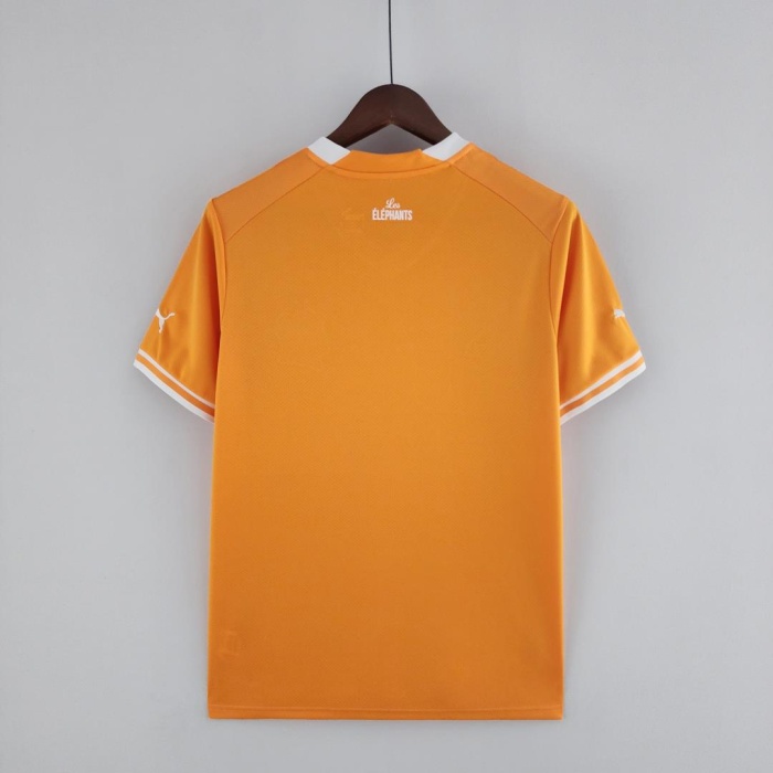 Cote d'Ivoire 2022 World Cup Home Jersey