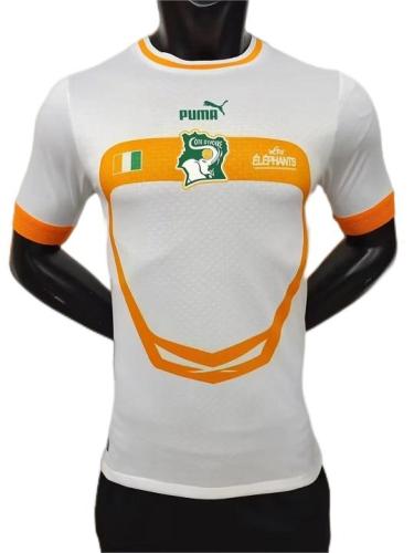 Cote d'Ivoire 2022 World Cup Away Jersey(Player)