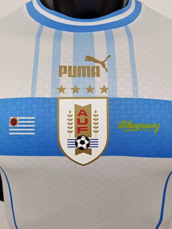 Uruguay 2022 World Cup Away Jersey(Player)