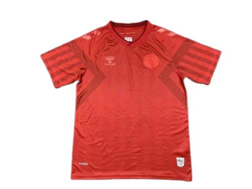 Denmark 2022 World Cup Home Soccer Jersey