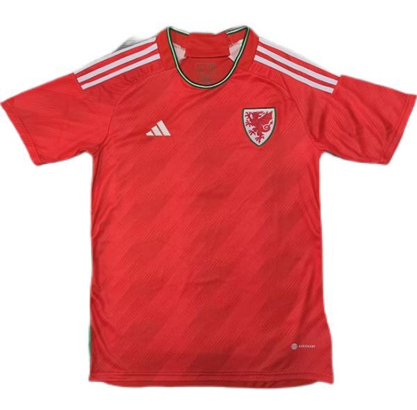 Wale 2022 World Cup Home Soccer Jersey