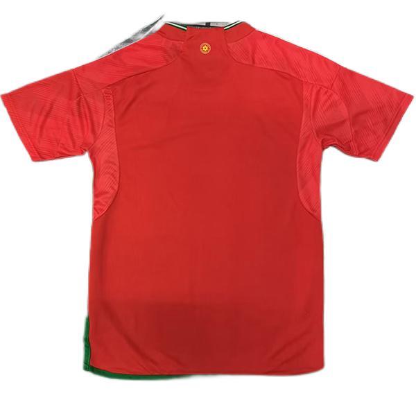 Wale 2022 World Cup Home Soccer Jersey