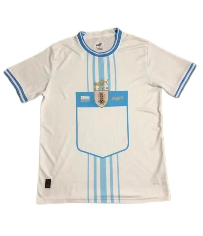 Uruguay 2022 World Cup Away Soccer Jersey