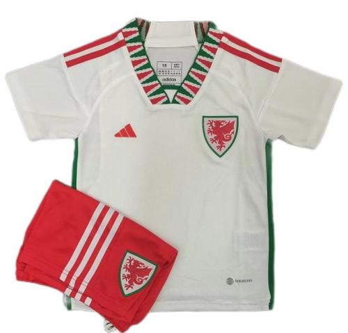 Kids-Wales 2022 World Cup Away Soccer Jersey