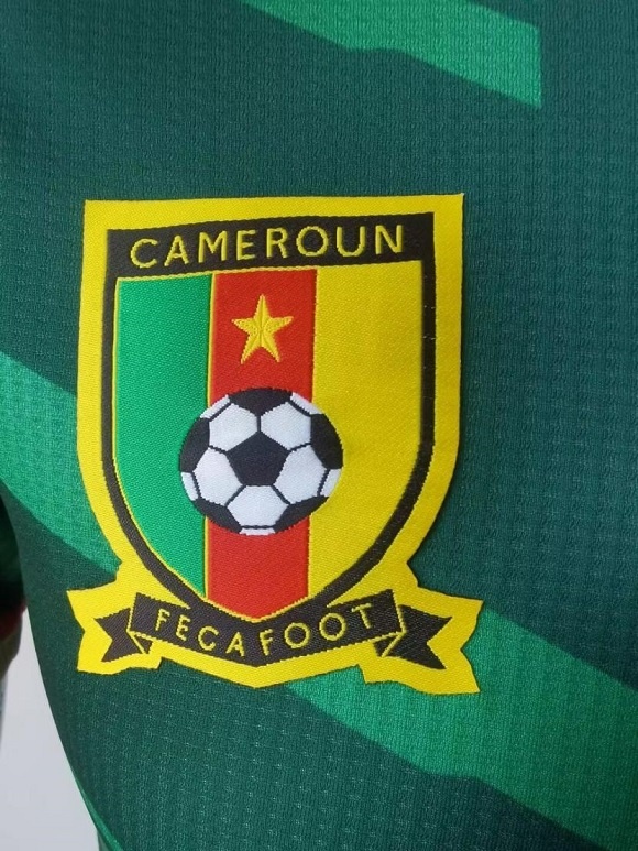 Cameroon 2022 World Cup Home Jersey(Player)