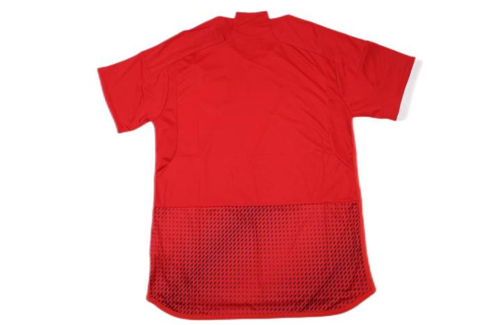 Peru 23/24 Away Red Soccer Jersey