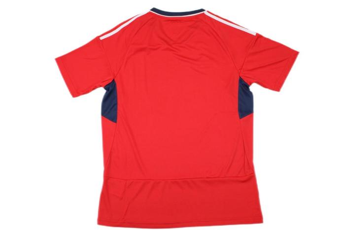 Costa Rica 23/24 Home Soccer Jersey