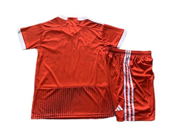 Kids-Peru 23/24 Away Red Soccer Jersey