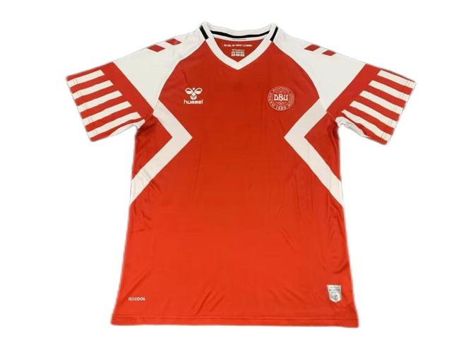 Denmark 23/24 Home Soccer Jersey