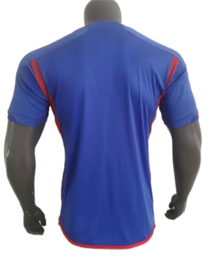 Lyon 23/24 Away Blue Soccer Jersey(Player)