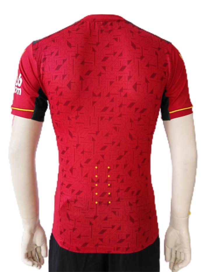 Wolves 23/24 Away Red Soccer Jersey(Player)