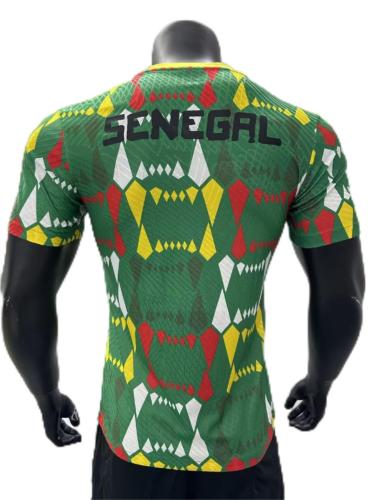 Senegal 23/24 Green/Yellow Training Jersey(Player)