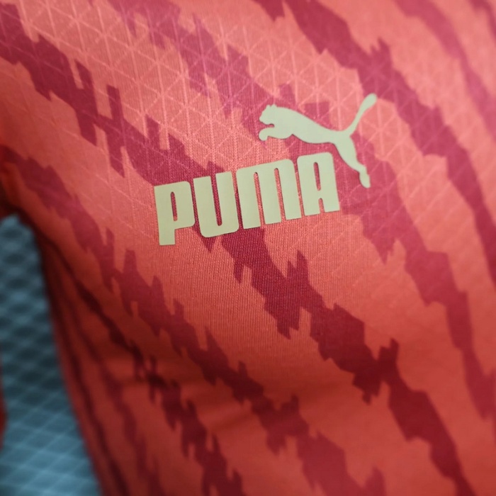 Morocco 2023 Home Soccer Jersey(Player)