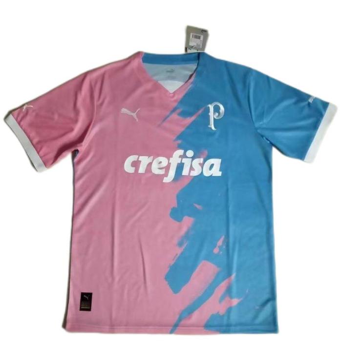 Palmeiras 23/24 Special Pink/Blue Soccer Jersey