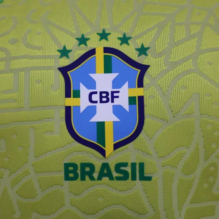 Brazil 2024 Home Soccer Jersey(Player)