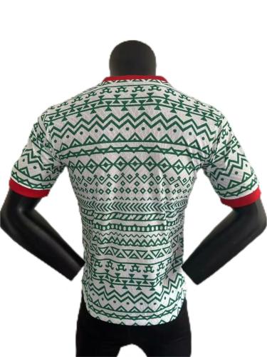 Nigeria 23/24 White/Green Training Jersey(Player)