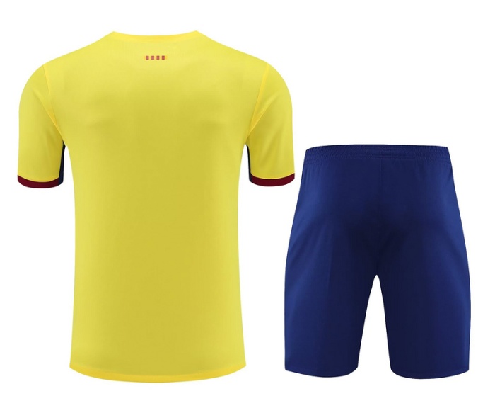 Barcelona 23/24 Yellow/Red Training Kit Jerseys