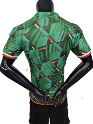 Algeria 2024 Away Concept Soccer Jersey(Player)