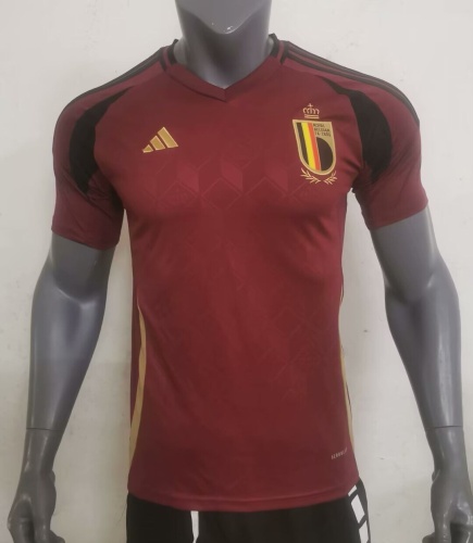 Belgium 2024 Euro Home Soccer Jersey(Player)