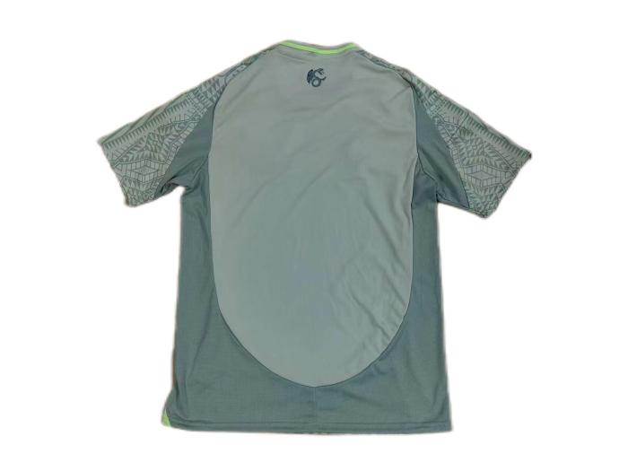 Mexico 2024 Away Grey Soccer Jersey