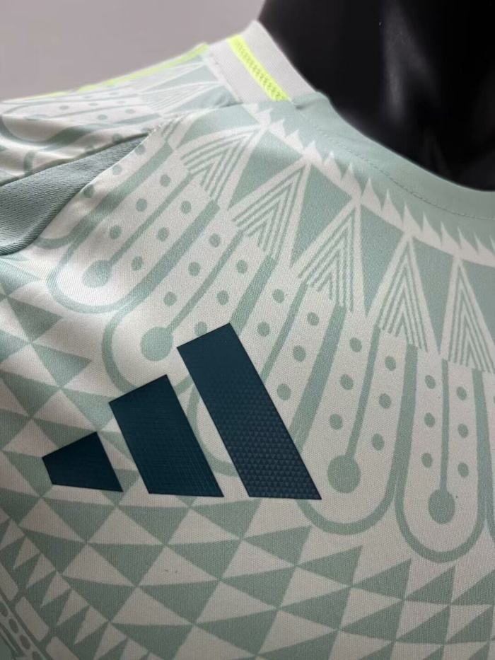 Mexico 2024 Away Grey Green Soccer Jersey(Player)