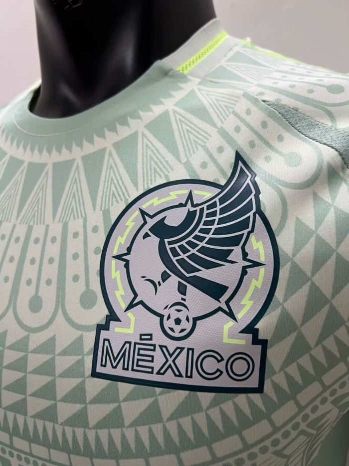Mexico 2024 Away Grey Green Soccer Jersey(Player)