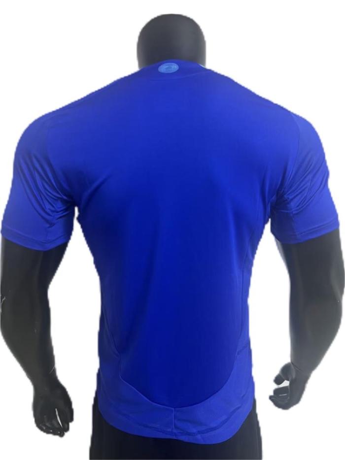 Argentina 2024 Away Blue Soccer Jersey(Player)