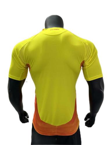 Colombia 2024 Euro Home Soccer Jersey(Player)