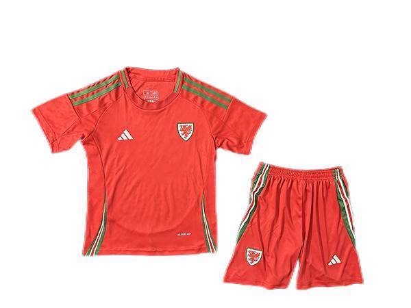 Kids-Wales 2024 Euro Home Soccer Jersey