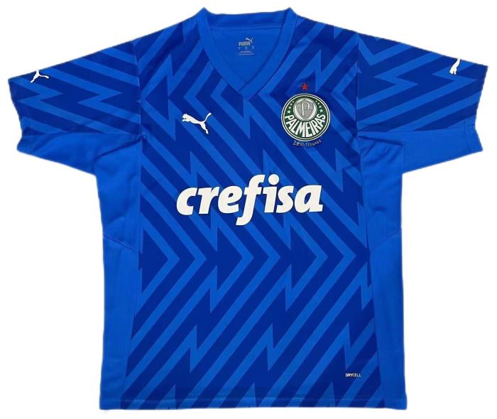 Palmeiras 24/25 GK Blue Soccer Jersey