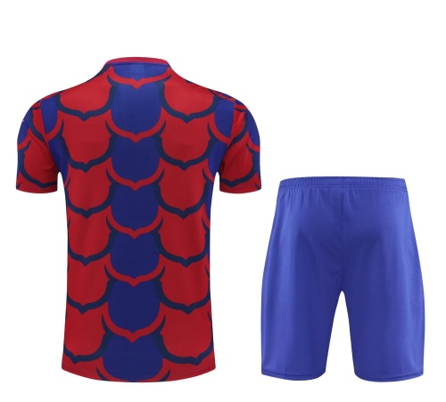Barcelona 24/25 Red/Blue Training Kit Jerseys