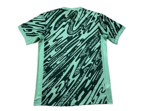 Brazil 24/25 Green Training Jersey