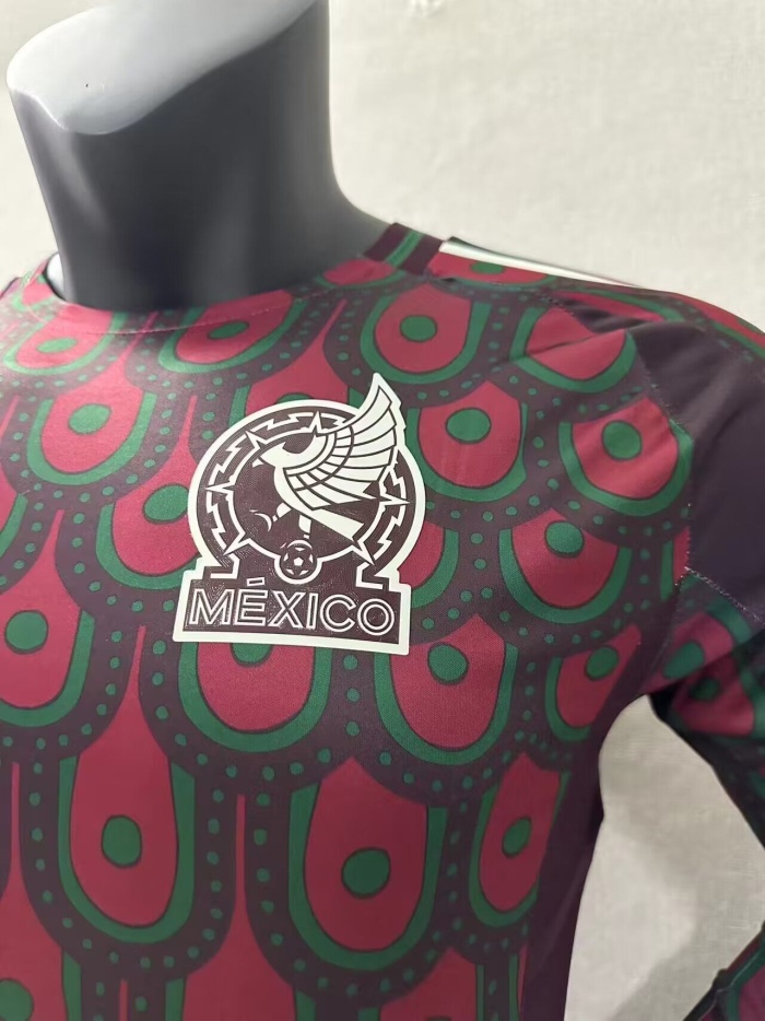 Mexico 2024 Home Long Soccer Jersey(Player)