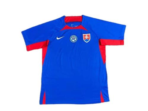 Slovakia 2024 Euro Home Soccer Jersey