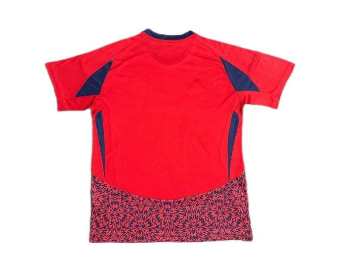 Costa Rica 24/25 Home Soccer Jersey