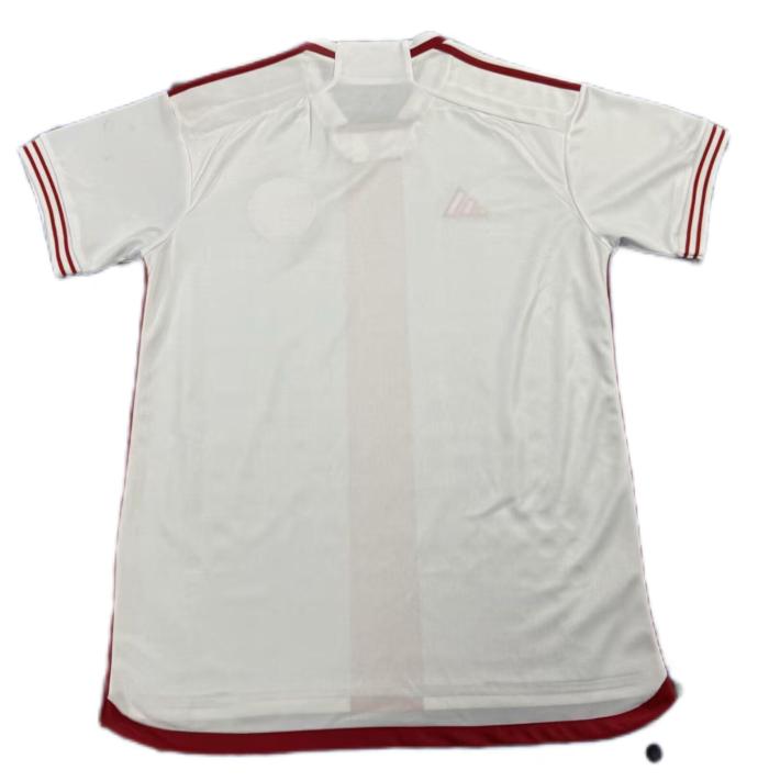 Internacional RS 24/25 Away White Soccer Jersey