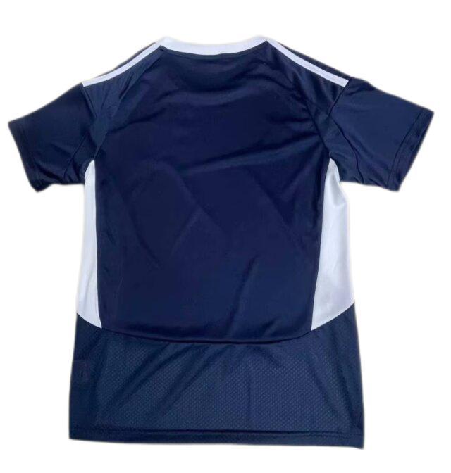 Bordeaux 24/25 Home Soccer Jersey