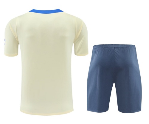 Inter Milan 24/25 Light Yellow Training Kit Jersey