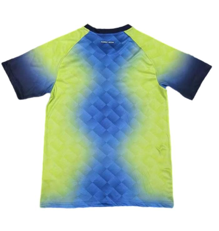 Venezia 24/25 GK Blue/Green Soccer Jersey