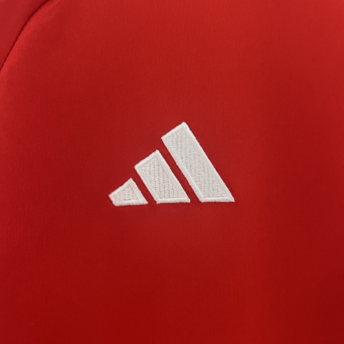 Wale 2024 Euro Home Soccer Jersey