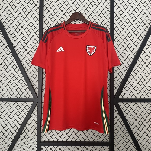Wale 2024 Euro Home Soccer Jersey