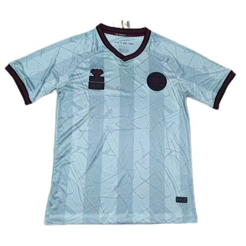 Denmark 24/25 Special Light Green Soccer Jersey
